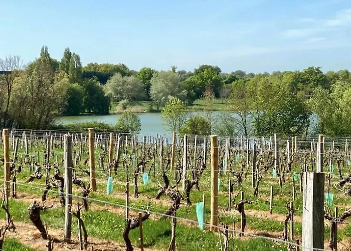 بيت للعطل La Pierre Du Bonheur